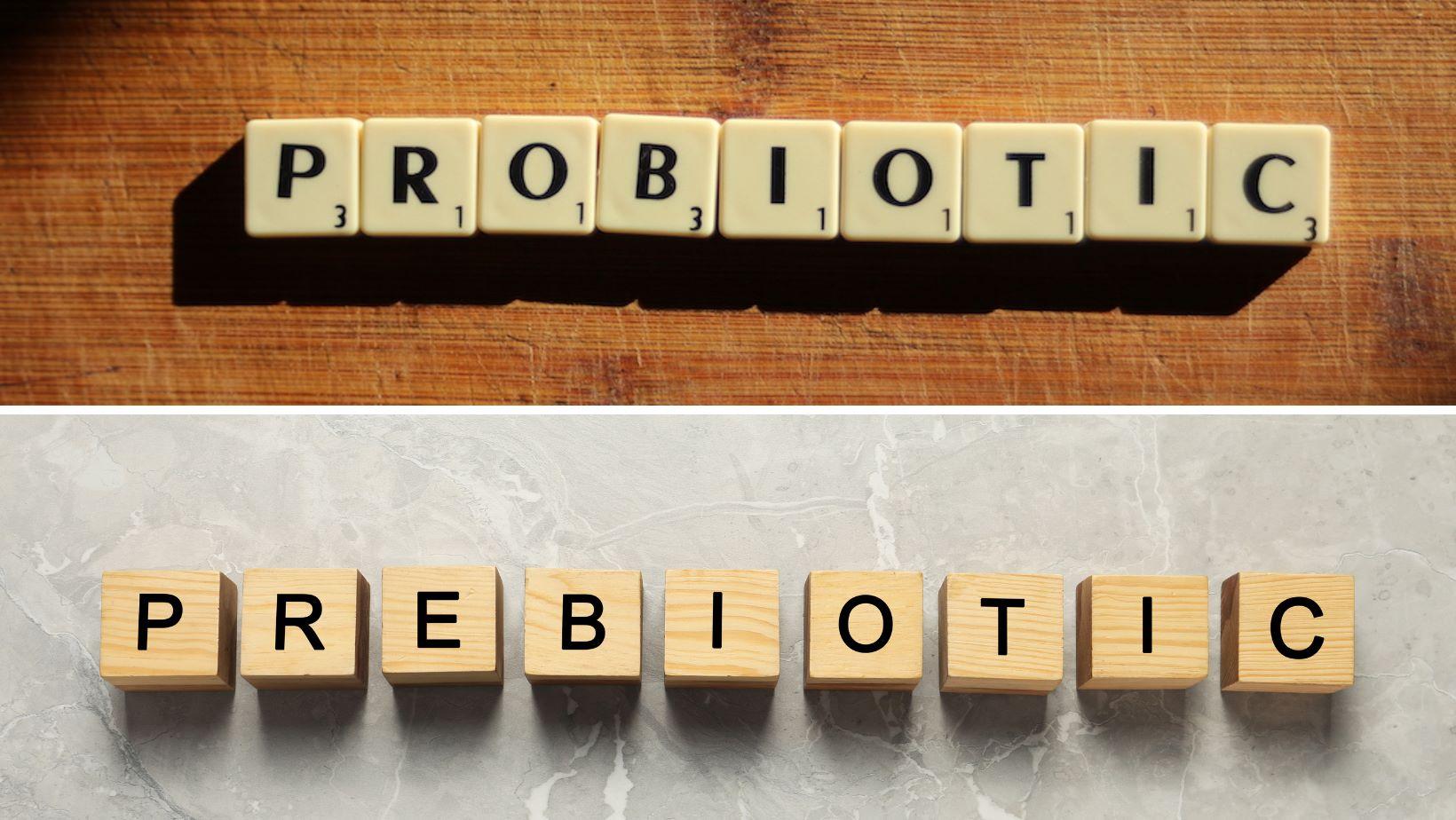 Prebiotiká – Probiotiká. Poznáš rozdiel?
